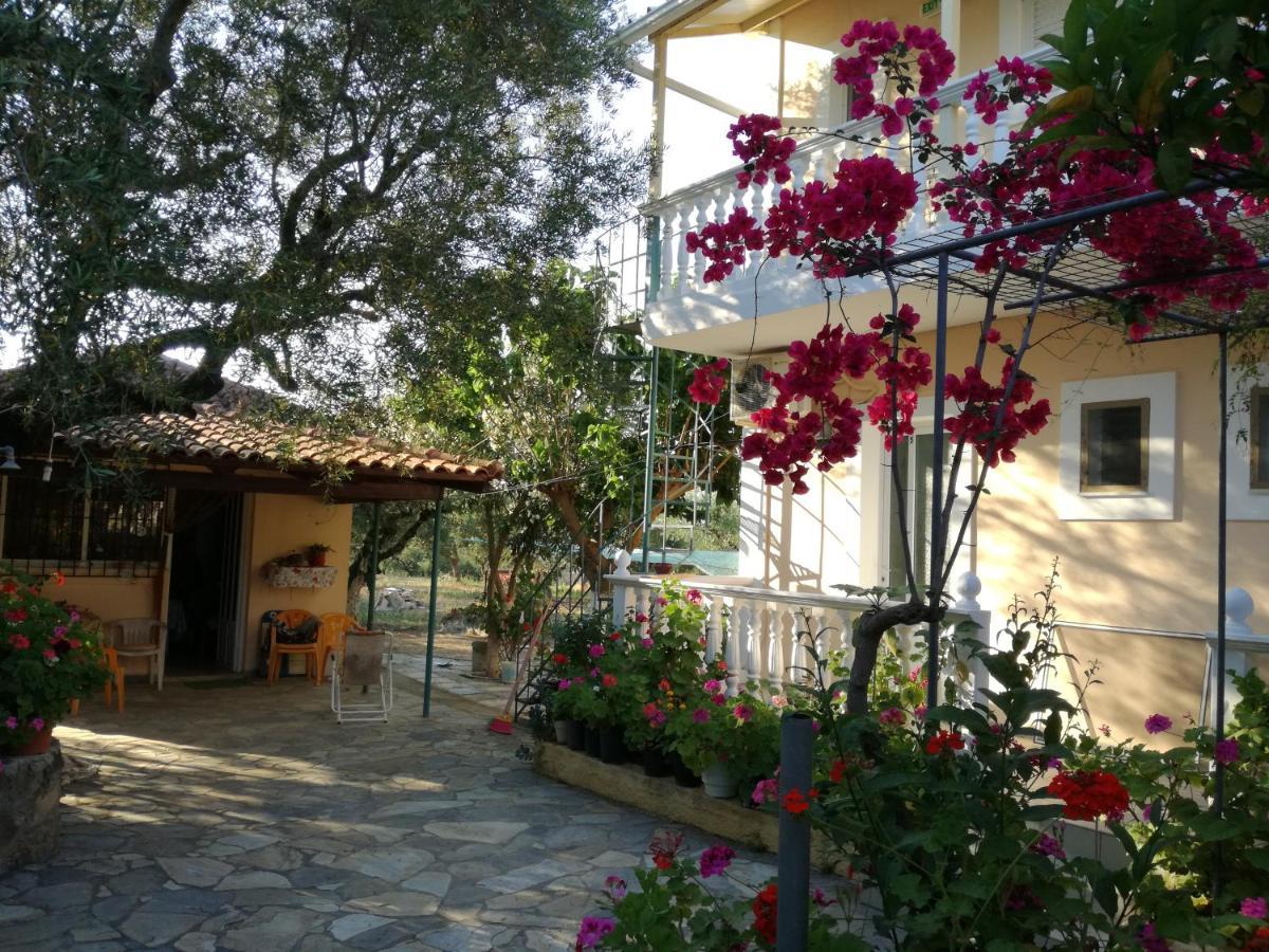 Casa Dyonisia Tsilivi Aparthotel Planos  Luaran gambar